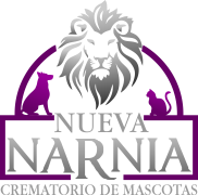 Nueva Narnia